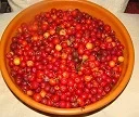 cherries.webp