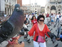 Pigeons_in_St._Mark's_Square.webp