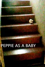 peppiebaby.webp